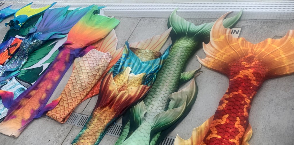 Photo Credit: Jenisa Barr